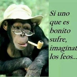 Meet your Posher, Joanes